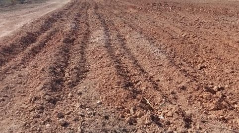 26 HECTAREAS DE TERRENO A LA VENTA EN PERAFORT CON MASIA PARA REHABILITAR, immagine 3