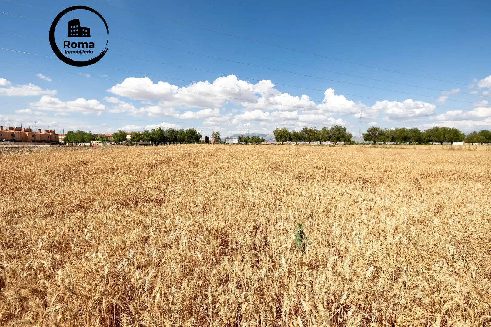 Terreno residencial en venta en Híjar, imagen 21