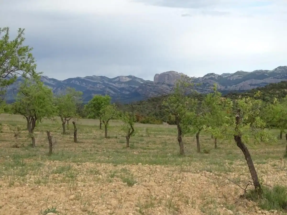Finca rústica en venta en Cretas