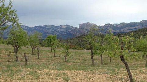 Photo 3 of Country homes for sale in Cretas, Teruel