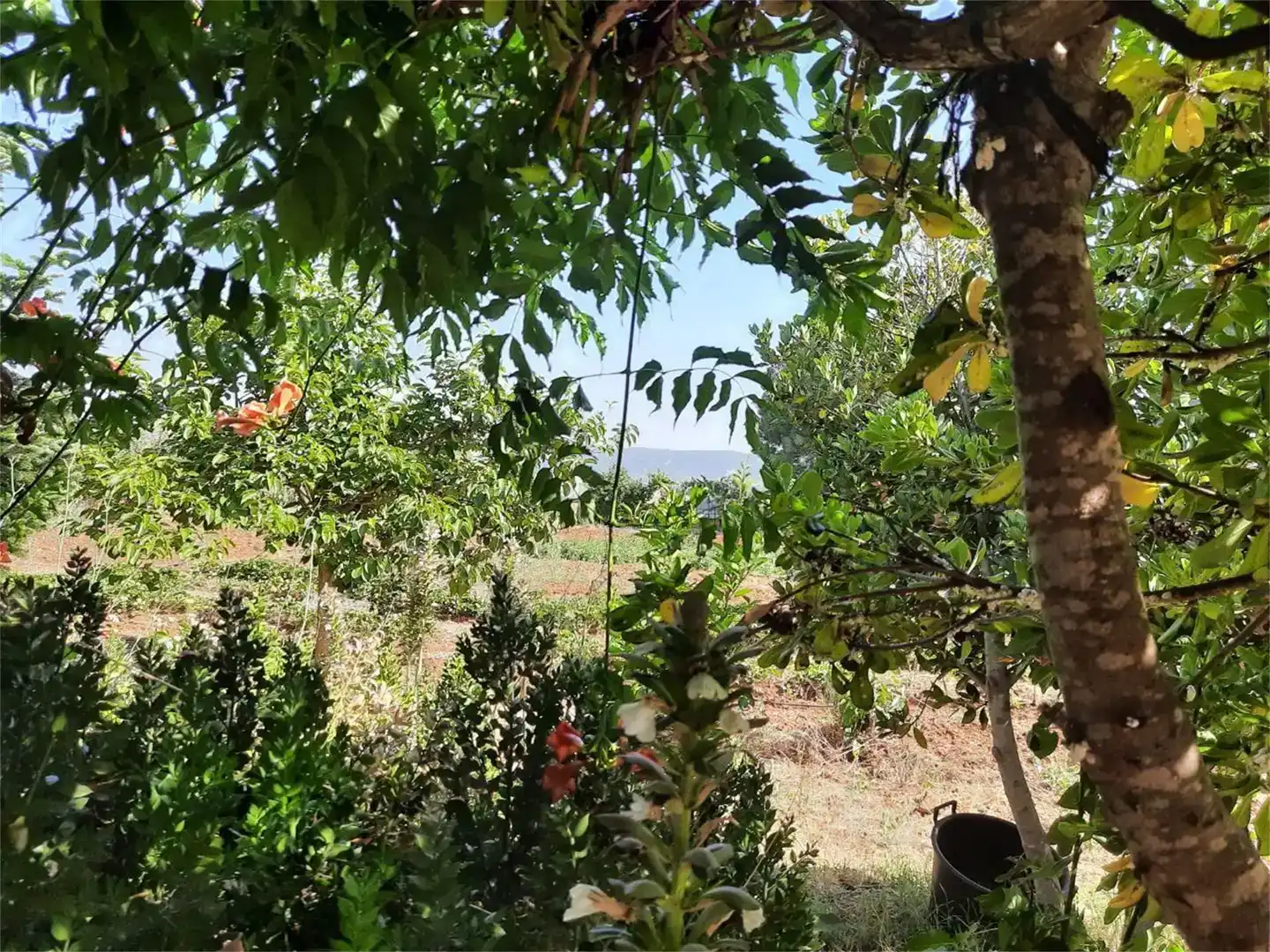 Finca rústica en venda en Retuerta del Bullaque amb Aire condicionat i Piscina