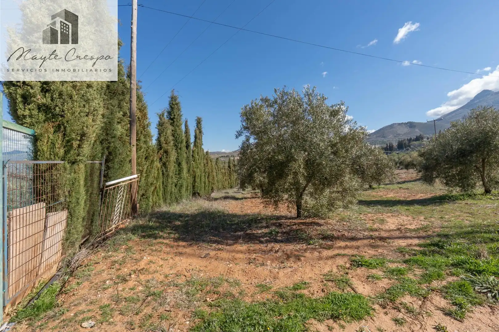 Terreni e lotti in vendita a Cogollos de la Vega, imagen 18