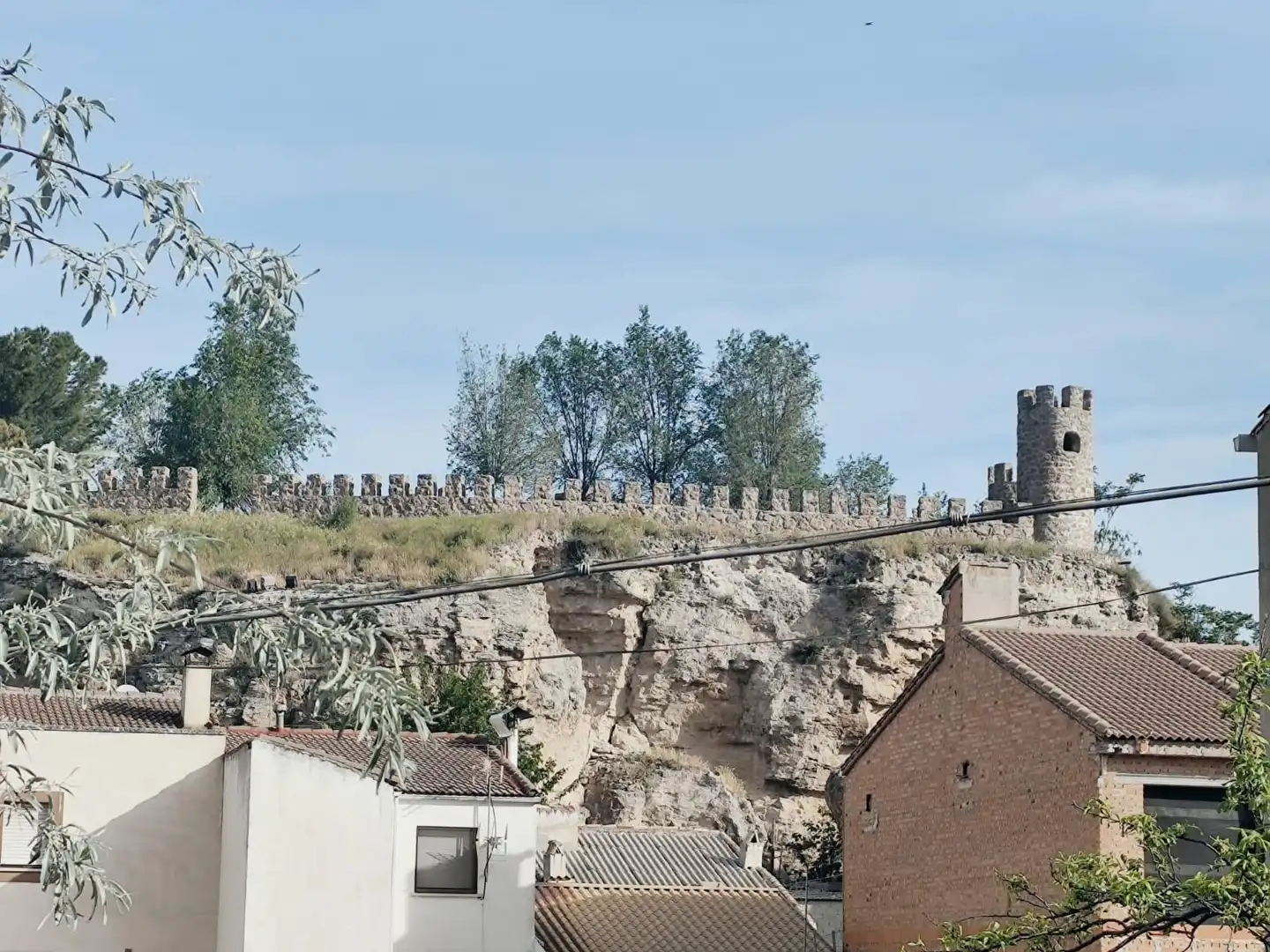 Vista exterior de Casa o xalet en venda en Almoguera amb Jardí privat