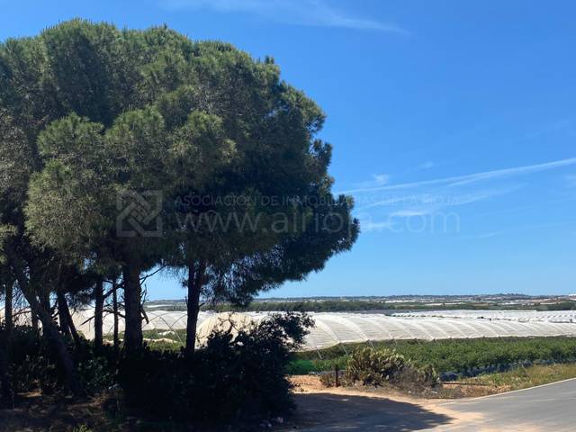 Terreno residencial en Alquiler en Cartaya - Polígono 25 en Cartaya