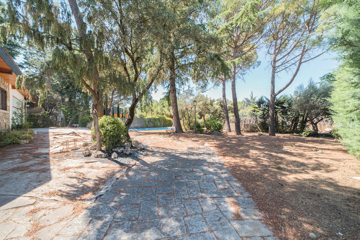 Jardí de Casa o xalet en venda en Galapagar amb Terrassa, Traster i Piscina
