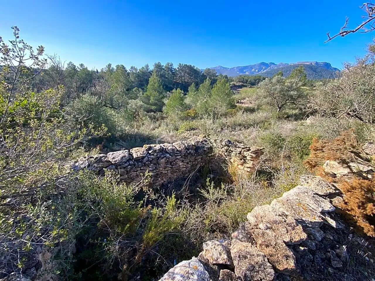 Terrain rustique à vendre à Gabachons, imagen 6