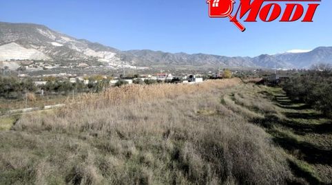 Finca de riego con 792 metros cuadrados. En esta finca no se permite la construcción de una nave de aperos, es una finca solo dest, immagine 5