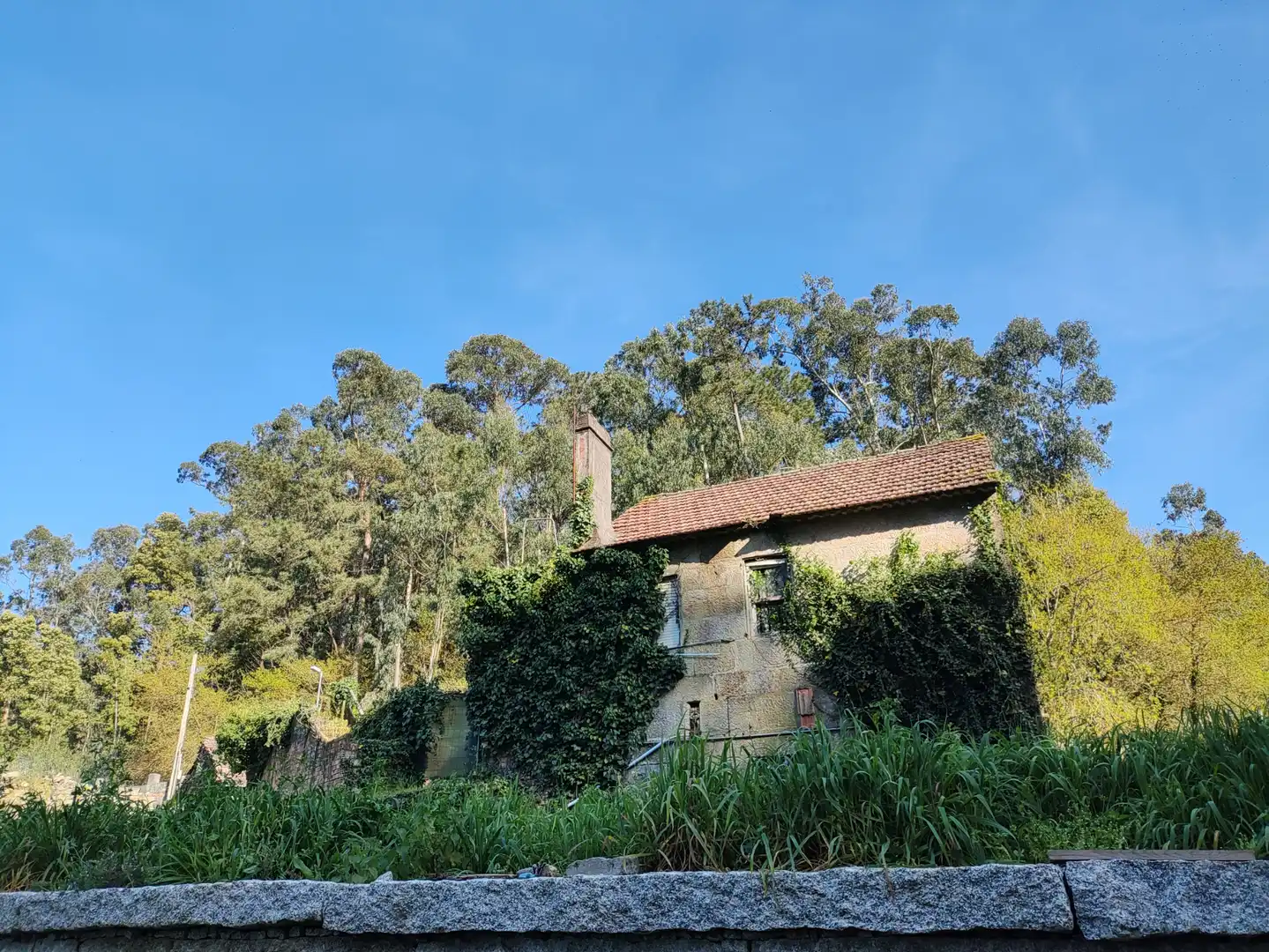 Exterior view of Houses for sale in Vigo 