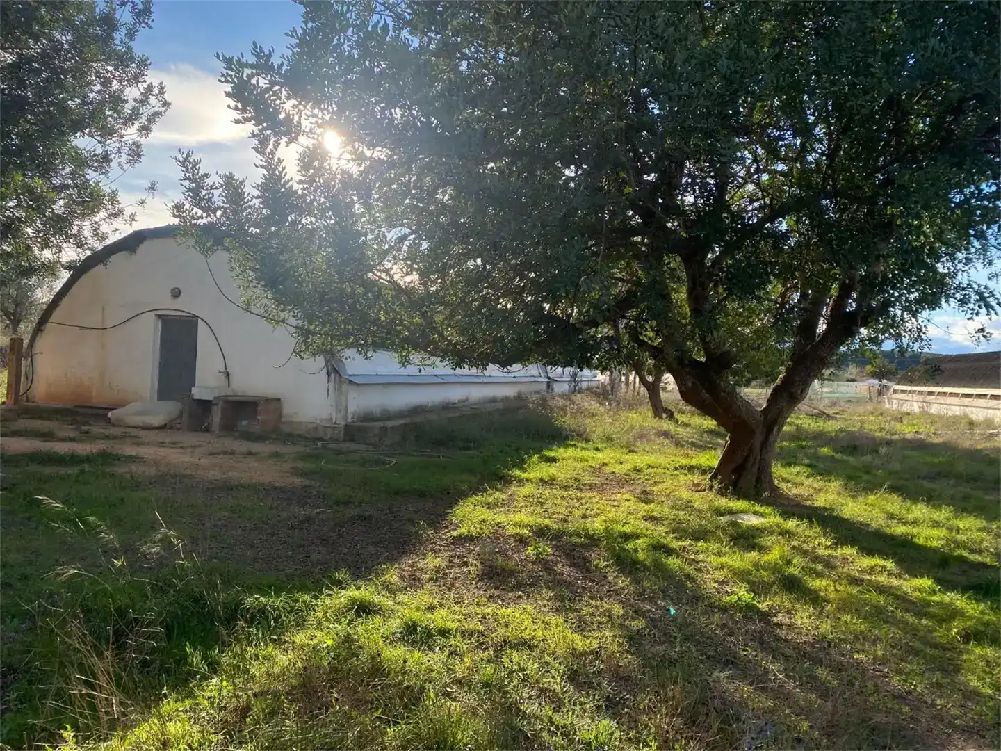 Finca rústica en venta en Llíria