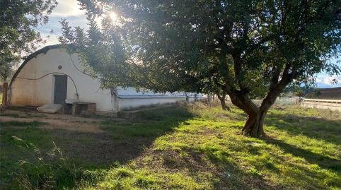 Foto 3 de Finca rústica en venta en Santa Bárbara, Llíria