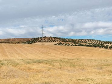 Terreno rustico in vendita a La Malahá