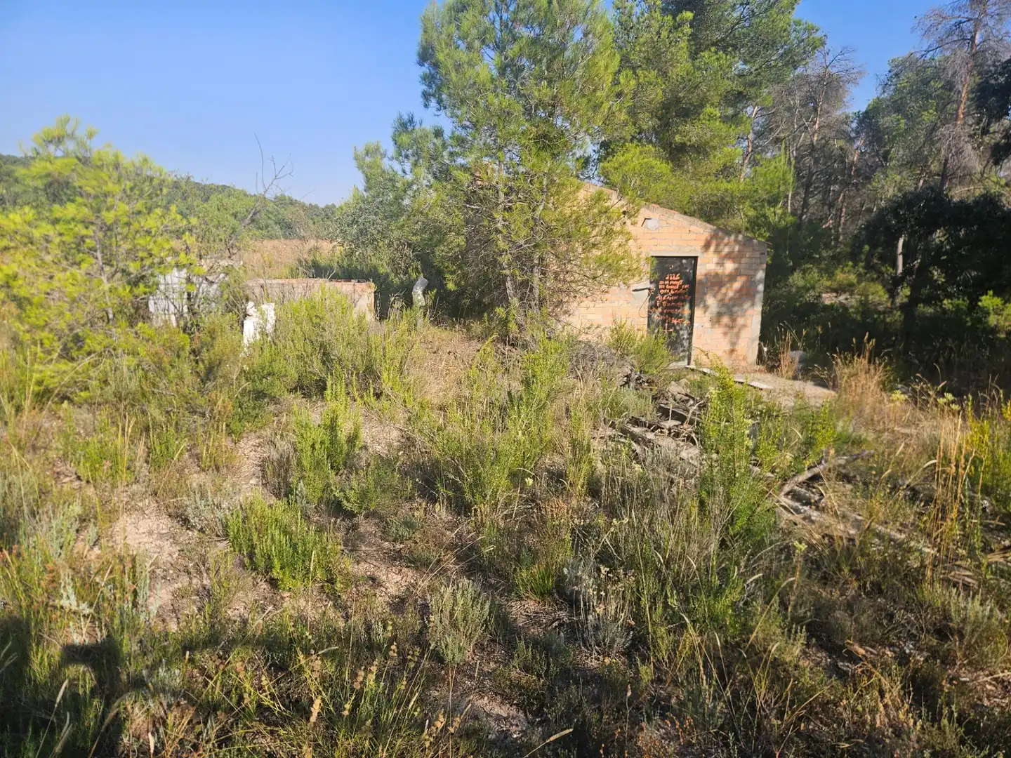 Land for sale in La Pobla de Cérvoles