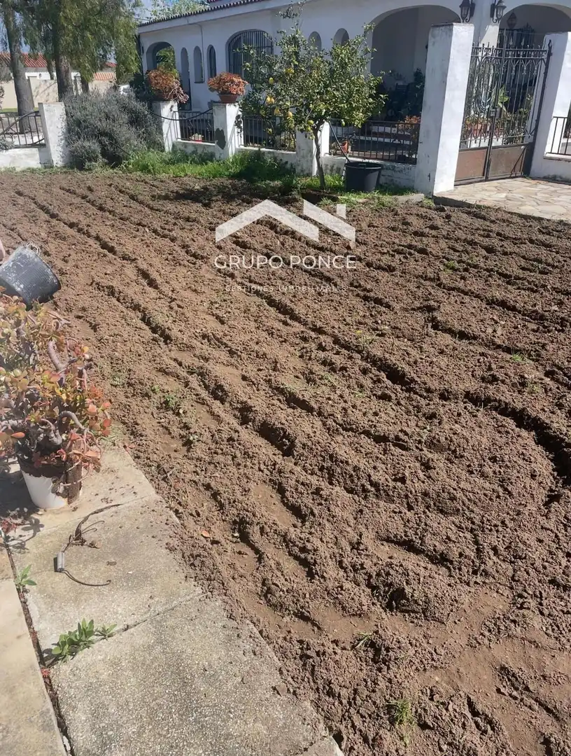 Xalet amb piscina en venda a Ctra Sanlúcar - Cuatro Pinos, imagen 30