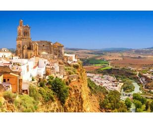 Vista exterior de Casa o xalet en venda en Arcos de la Frontera amb Aire condicionat, Terrassa i Piscina