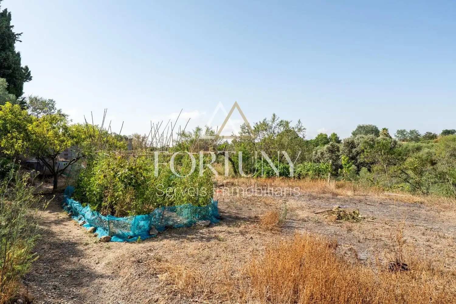 House with pool for sale in del Freixe, imagen 39