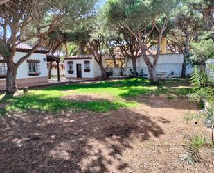 Garden of House or chalet for sale in Chiclana de la Frontera