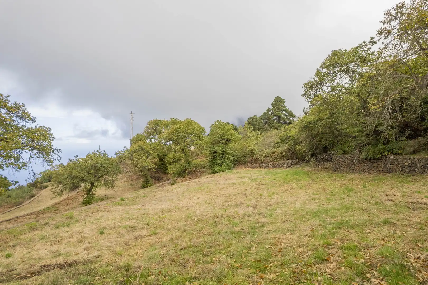 Terreno rustico in vendita a Camino Bebedero, imagen 21