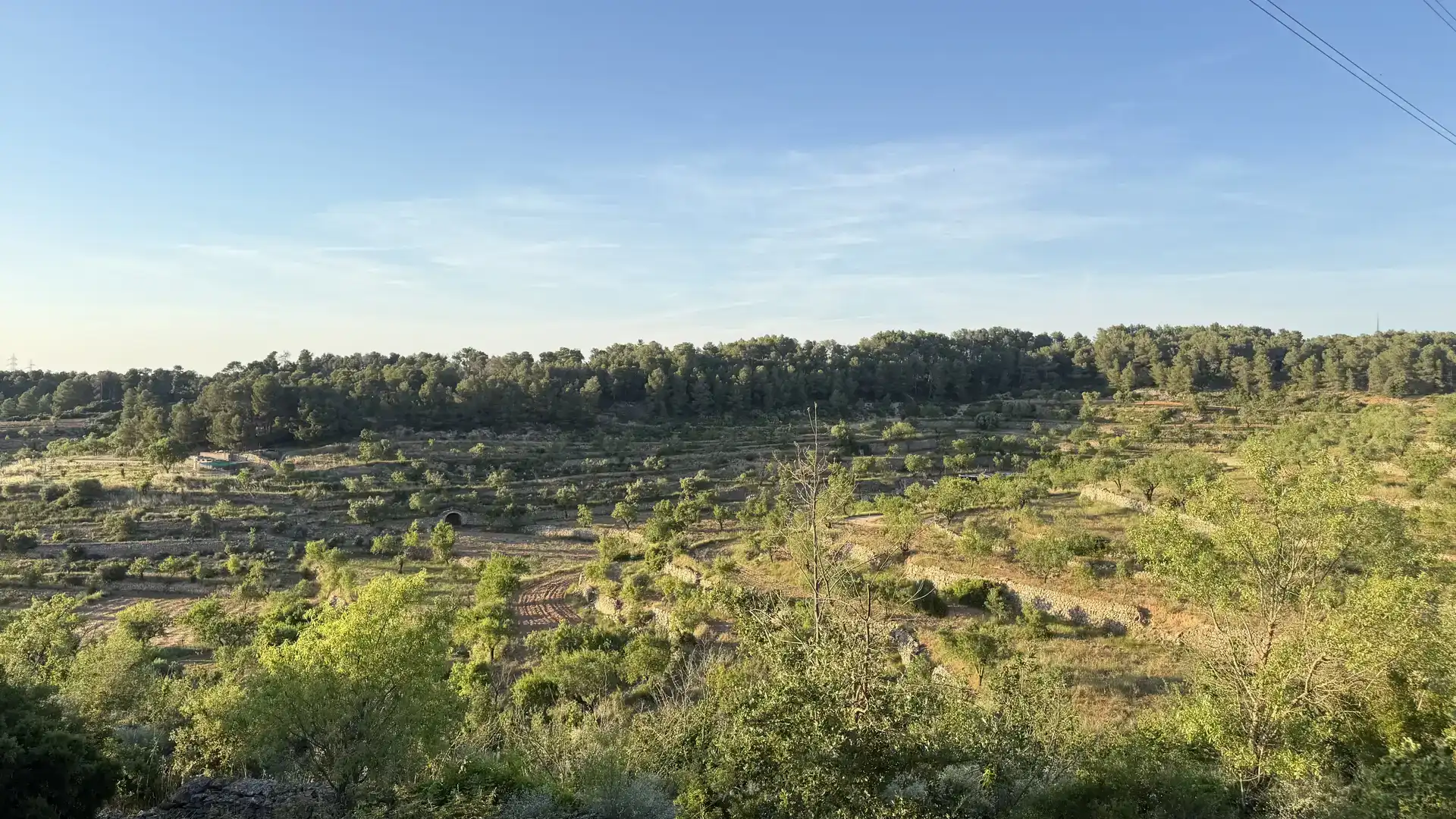 Finca rústica en venda en La Fatarella amb Jardí privat