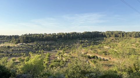 Foto 5 de Finca rústica en venda a Carrer Tancat, 17, La Fatarella, Tarragona