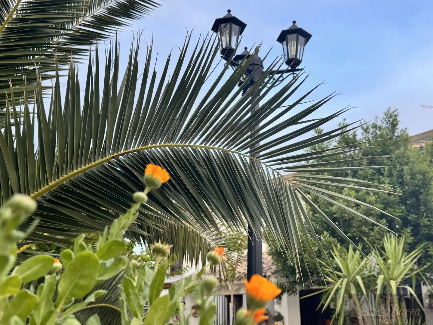 Vista exterior de Casa o xalet en venda en Carcabuey amb Aire condicionat, Calefacció i Piscina