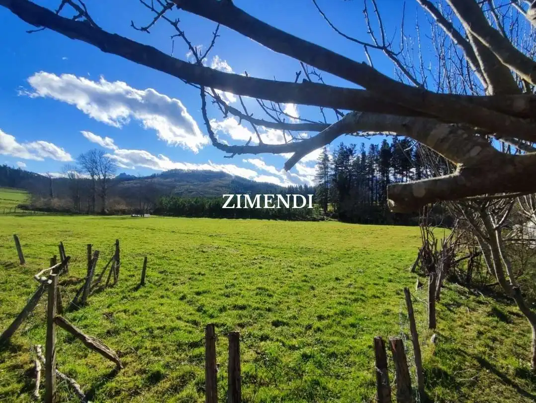 Terreno rustico in vendita a Abadiño, imagen 2