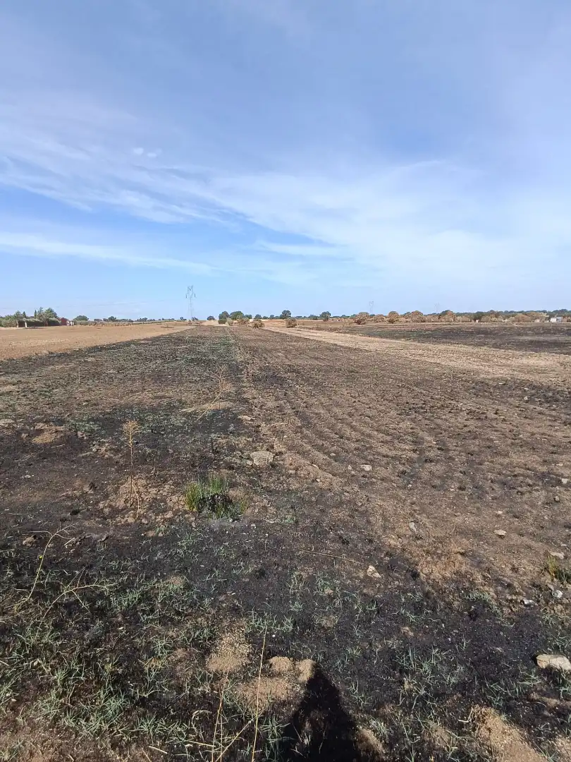 Terreno en venta en Este