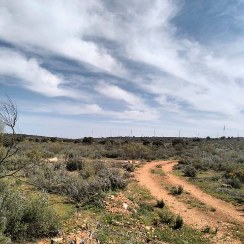 Terreno en Venta en N/A, -1 en El Bonillo