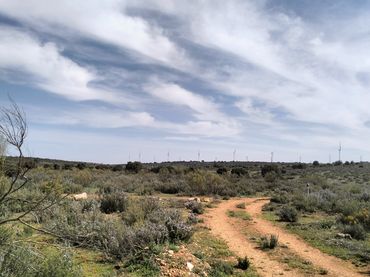 Terreno rustico in vendita a N/A 383W