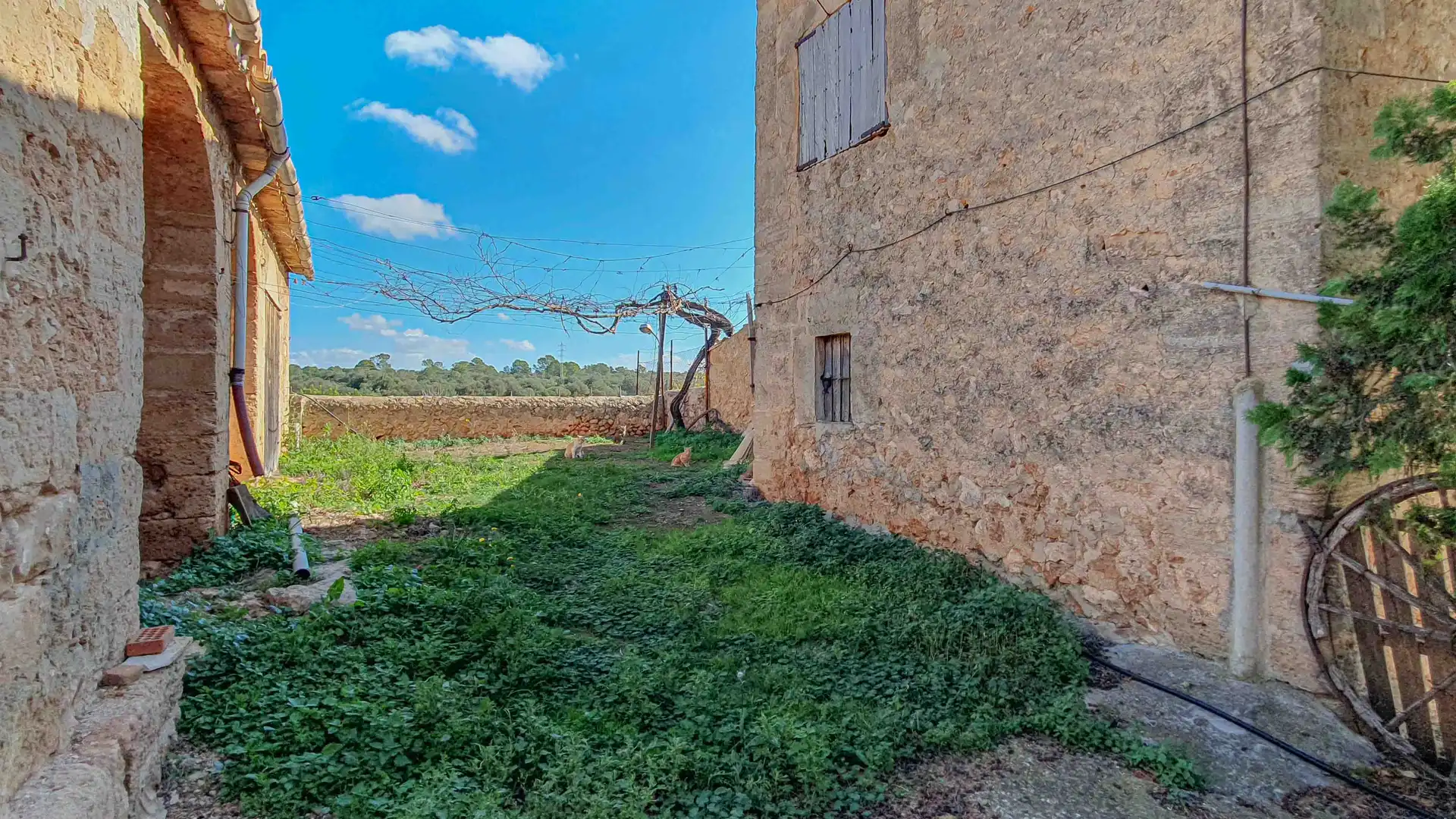 Finca rústica en venda en  Palma de Mallorca amb Jardí privat, Terrassa i Traster