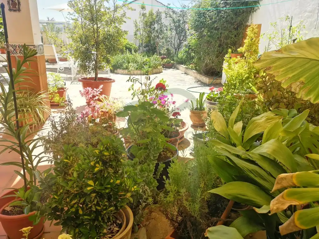 Jardí de Casa o xalet en venda en Torre Alháquime