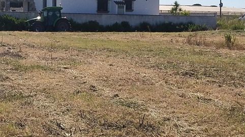 Foto 4 de Terreno en venta en Roche, Conil de la Frontera
