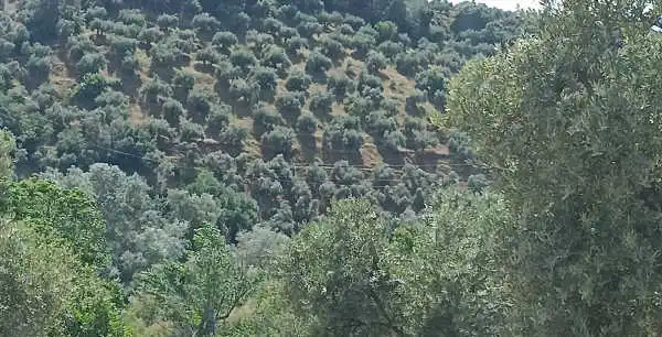 Rustikales Grundstück zum Verkauf in Montoro, imagen 3