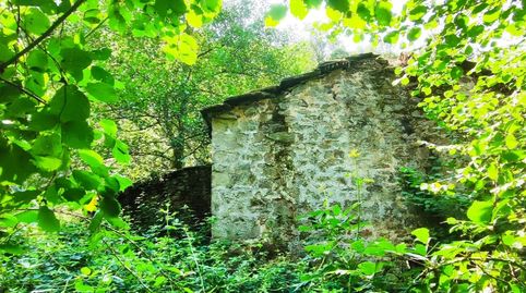 Foto 5 de Casa o chalet en venta en Selaya, Cantabria