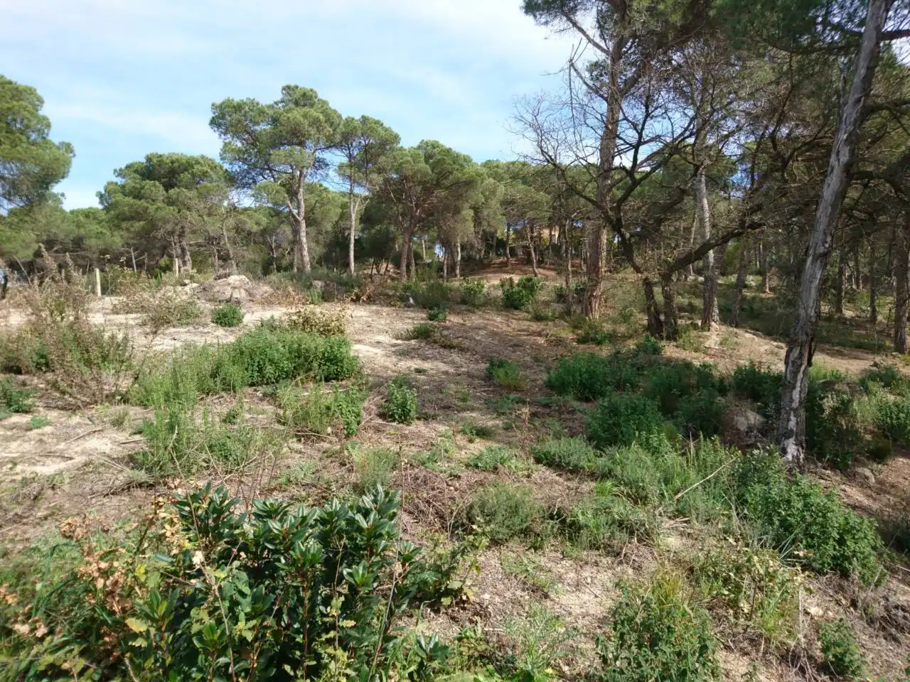 Terreny residencial en venda a Vilanova del Vallès, imagen 13