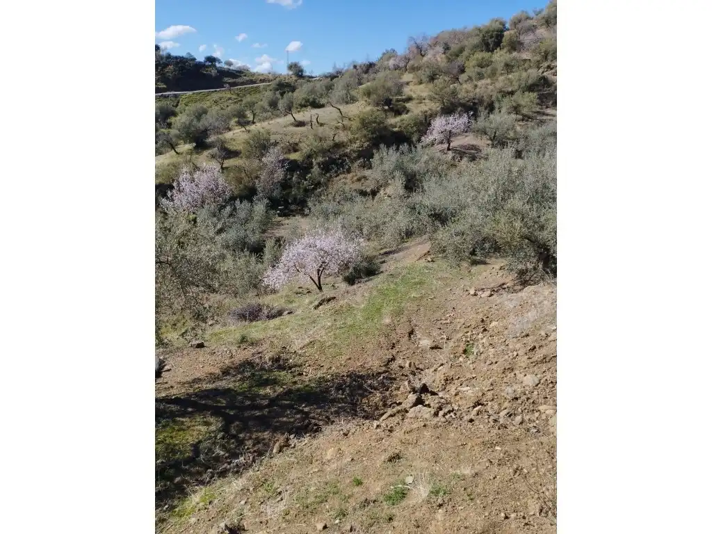 Casa o chalet en venta en Riogordo