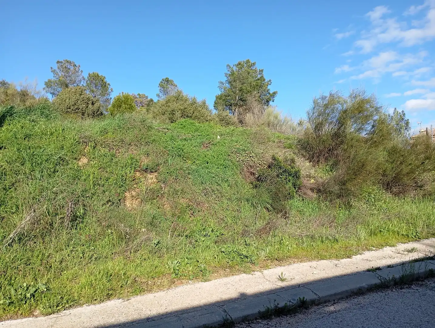 Terreni e lotti in vendita a Robledo de Chavela, imagen 6
