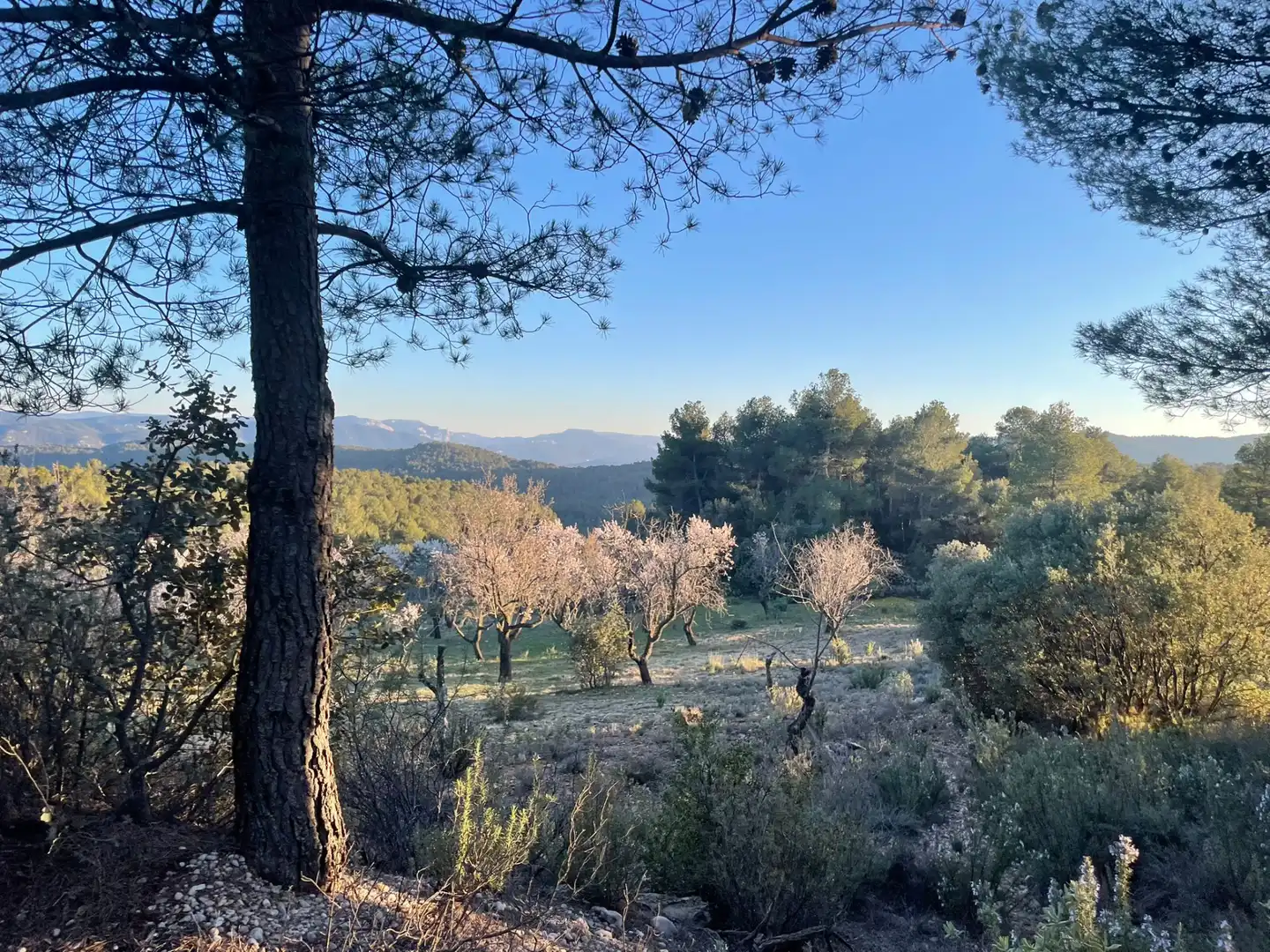 Terreni e lotti in vendita a Ráfales, imagen 6