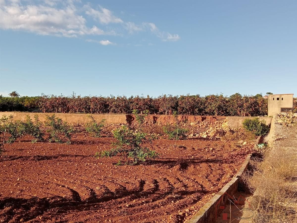 Finca rústica en venta en Benifaió