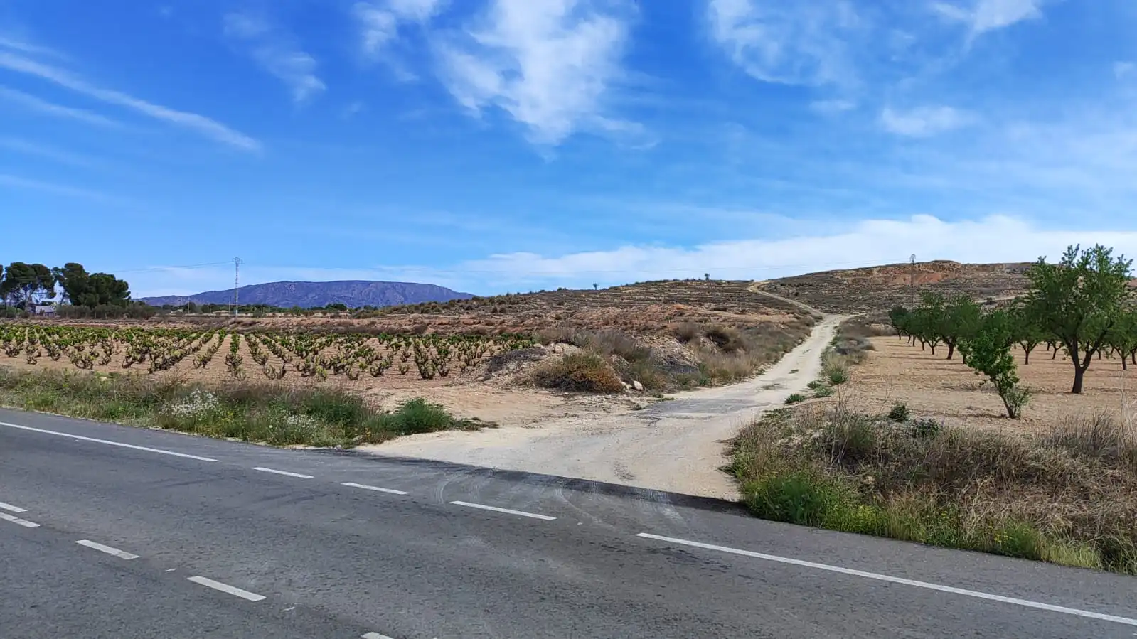 Terreno en venta en Camino del Toscar, 11, El Pinós / Pinoso