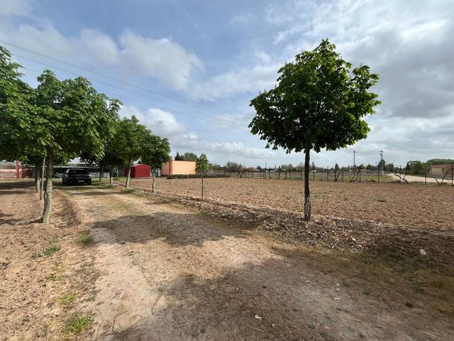 Terreno en Venta en Calle Fuentes en Tudela de Duero