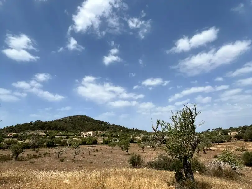 Terreny en venda en Santanyí