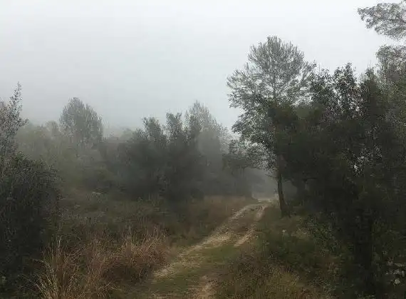 Rural land for sale in Carrer Parpalló 12A, imagen 4