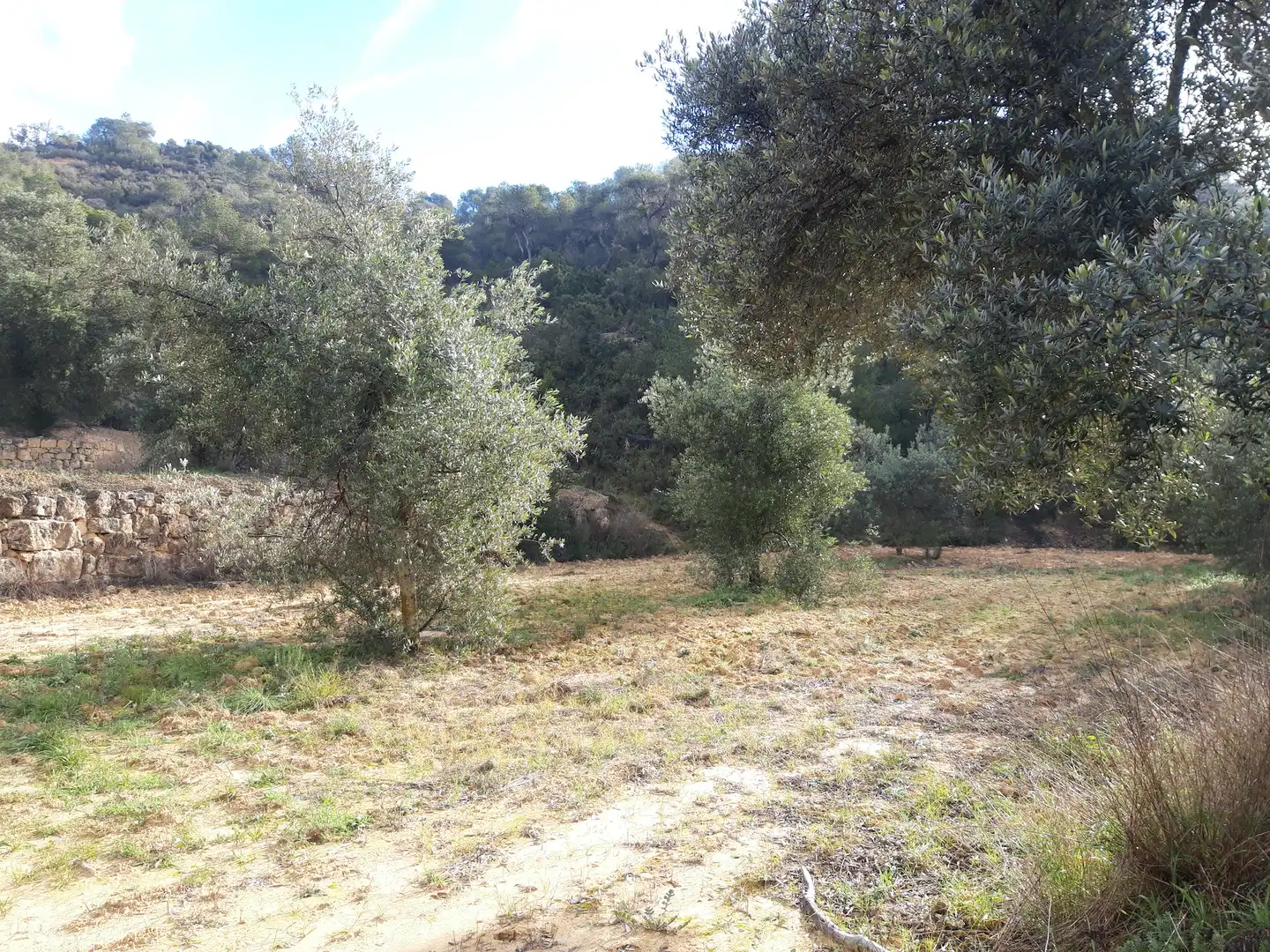 Finca rústica en venta en Batea