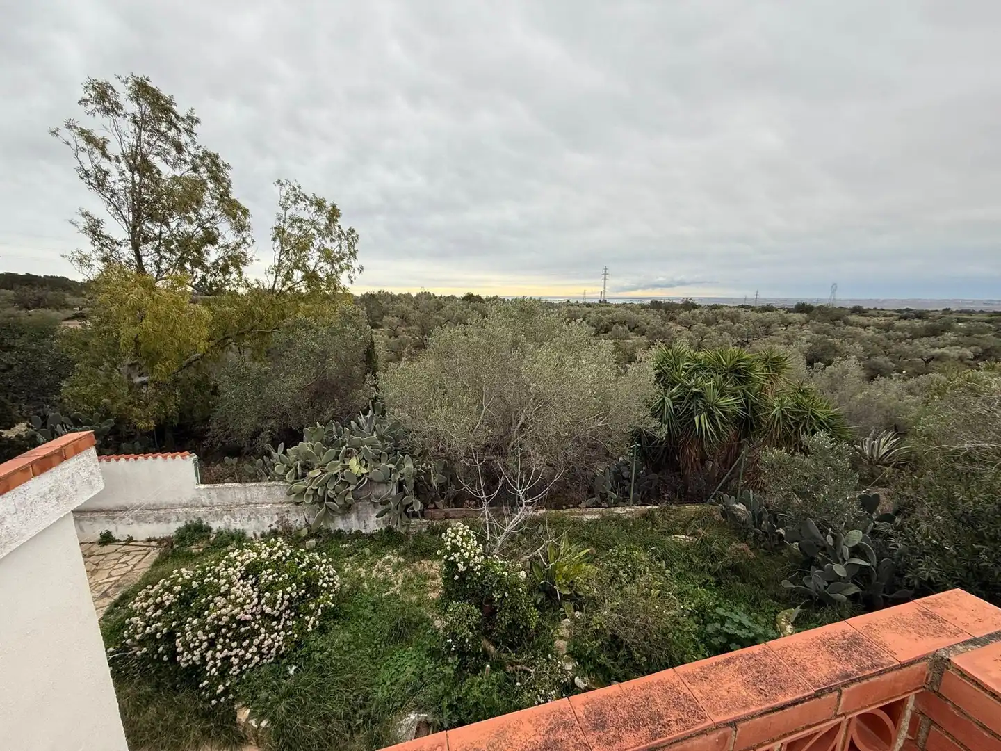 Jardín de Finca rústica en venta en Camarles