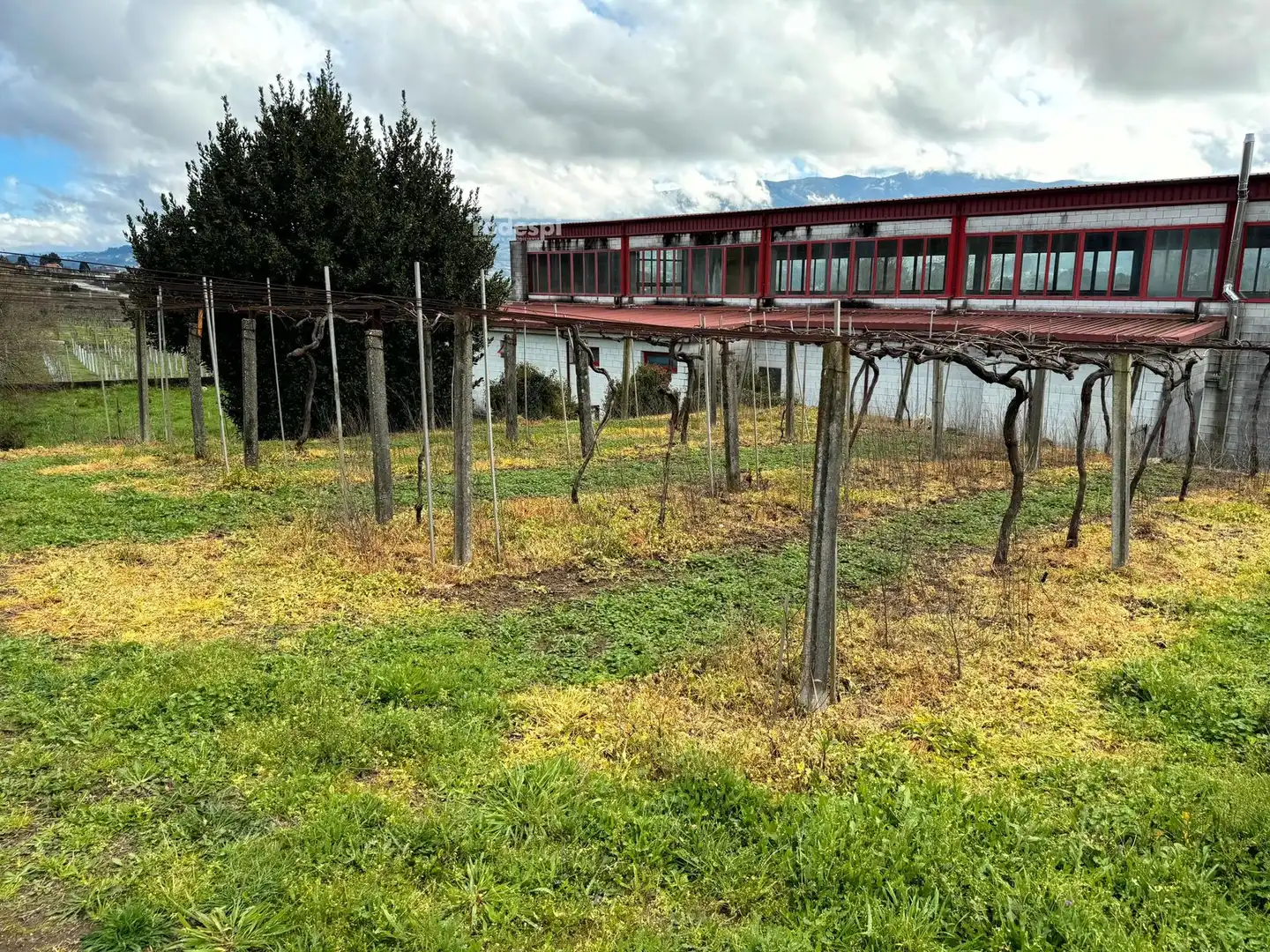 Rural land for sale in Arbo, imagen 32