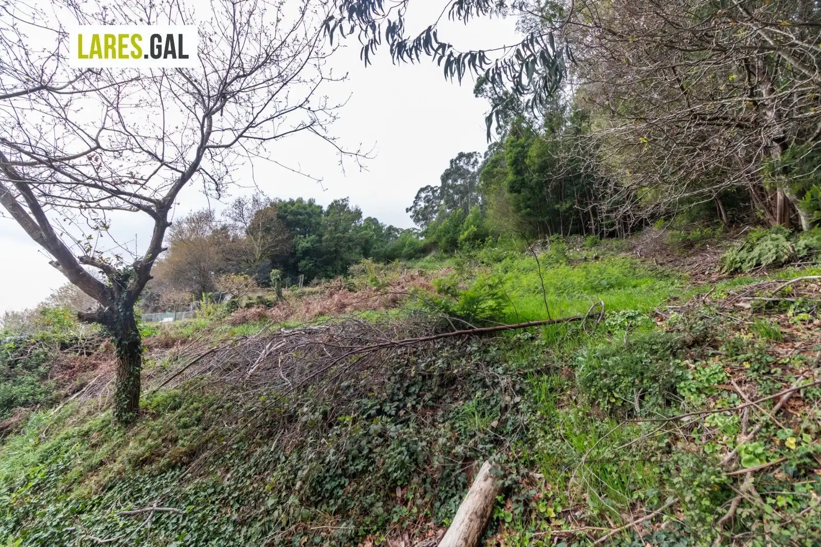 Residential land for sale in Rúa Ourelo, imagen 9