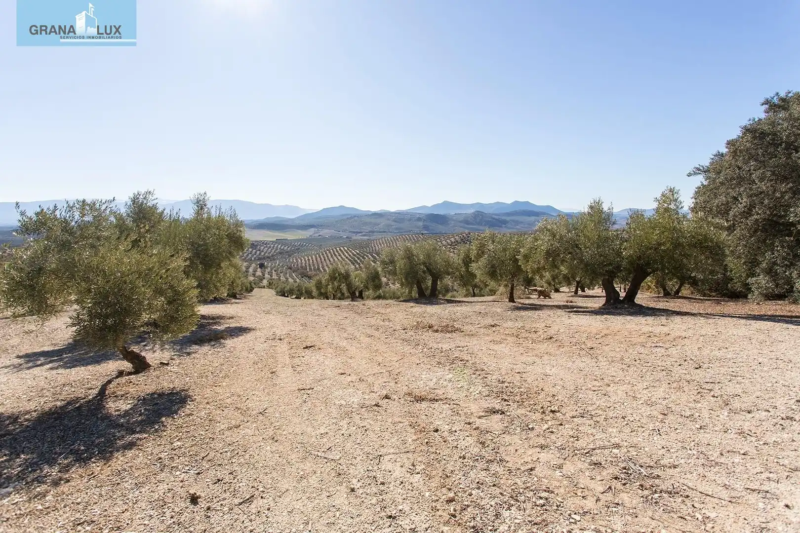 Land for sale in Campotéjar