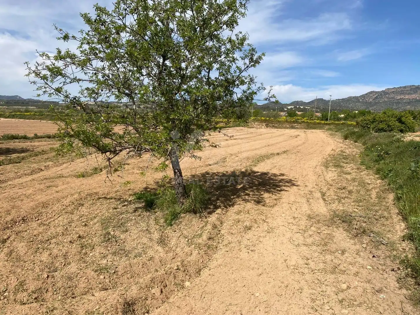 Casa en venta en Campo de Murcia, imagen 24