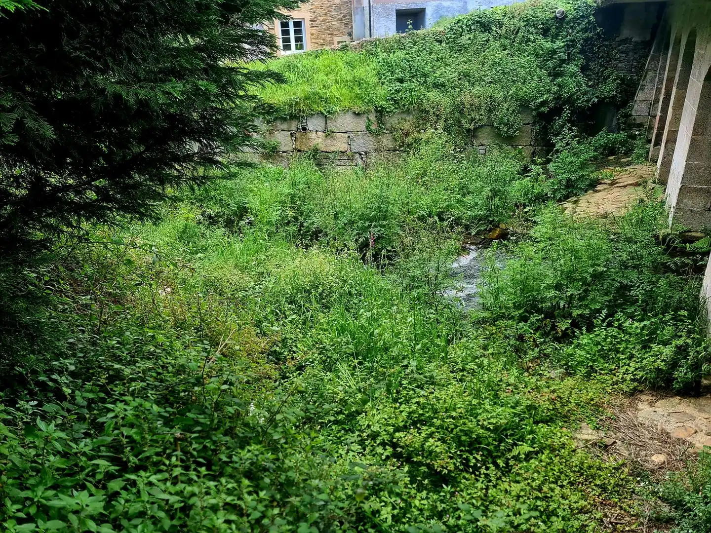 Casa amb jardí en venda a GENERAL SAN MIGUEL, imagen 56