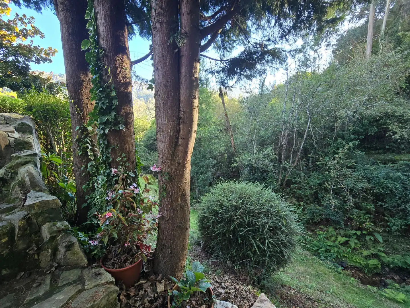 Jardín de Casa o chalet en venta en Ribadesella, Asturias